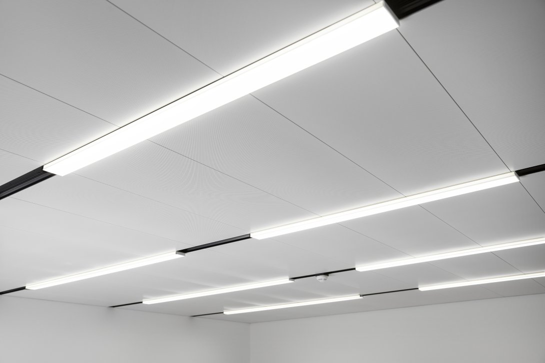 Licht